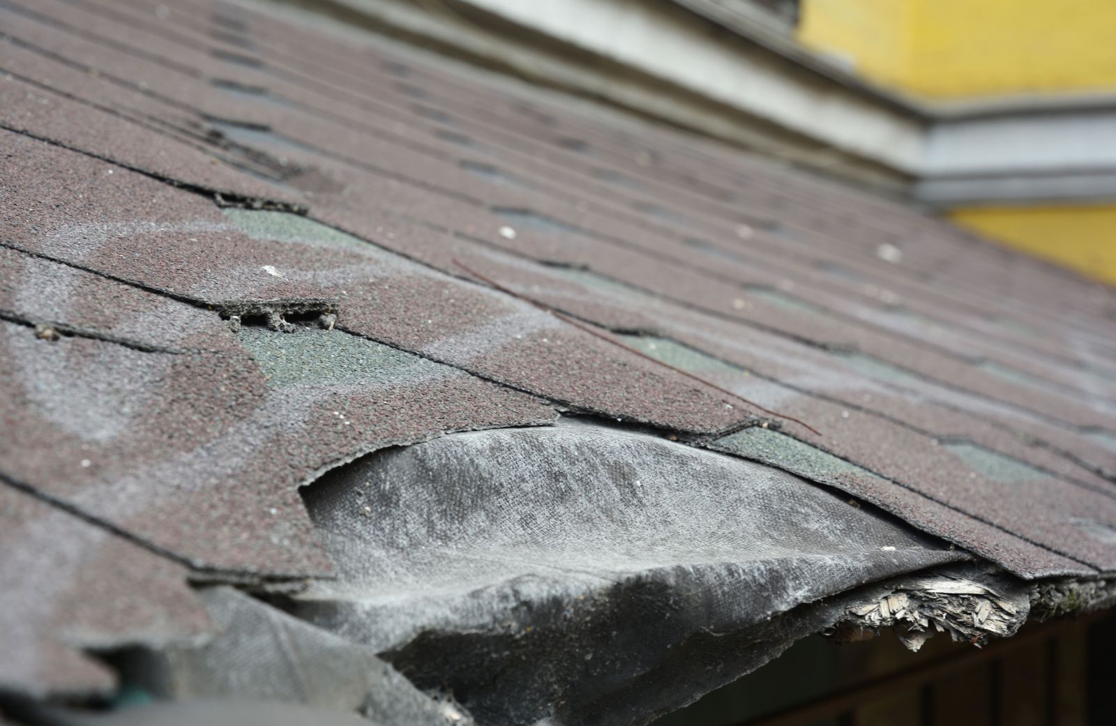 Residential Home Improvement Images